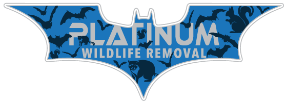 Grand Haven Elite Wildlife Trapping Pros